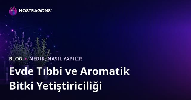 Evde Tıbbi ve Aromatik Bitki Yetiştiriciliği: Lavanta ve Biberiye Rehberi