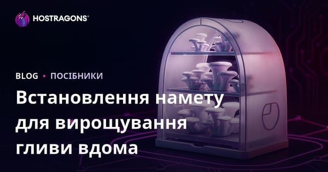 Як облаштувати домашню теплицю для вирощування вешенок: покрокова інструкція