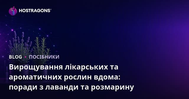 Вирощування лікарських та ароматичних рослин вдома: поради з лаванди та розмарину