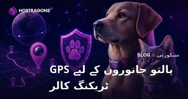 صرف پالتو جانوروں کے لیے GPS ٹریکرز کا تجزیہ کرنے والا سیکیورٹی بلاگ