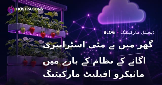 گھر میں بے مٹی اسٹرابیری اگانے کے نظام کے بارے میں مائیکرو افیلیٹ مارکیٹنگ