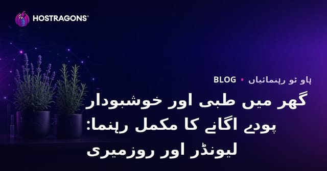 گھر میں طبی اور خوشبودار پودے اگانے کا مکمل رہنما: لیونڈر اور روزمیری