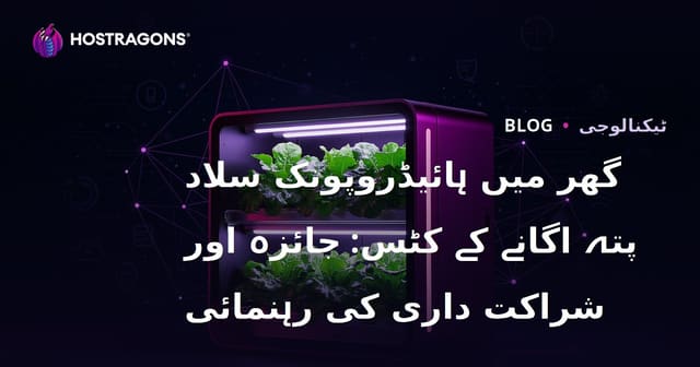 گھر میں ہائیڈروپونک سلاد پتہ اگانے کے کٹس: جائزہ اور شراکت داری کی رہنمائی