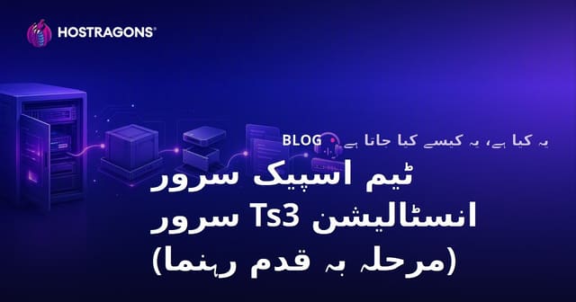 TeamSpeak سرور کی تنصیب: مرحلہ وار رہنما