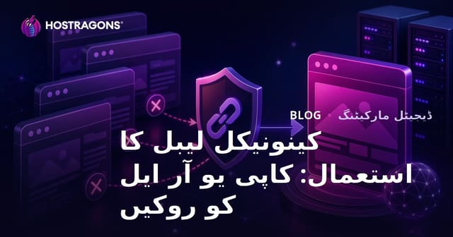 اپنی ویب سائٹ کی ڈپلیکیٹ ورژنز کو روکیں: کینونیکل ٹیگ کا درست استعمال