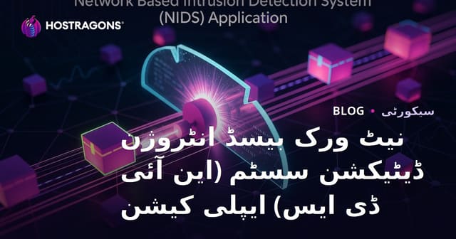 نیٹ ورک بیسڈ انٹروژن ڈیٹیکشن سسٹم (این آئی ڈی ایس) ایپلی کیشن