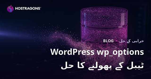 ورڈپریس wp_options ٹیبل کی بڑھوتری: آپ کی سائٹ کی رفتار کو متاثر کرنے والے پوشیدہ ڈیٹا کو ختم کرنا