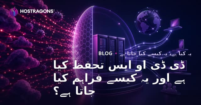 ڈی ڈی او ایس تحفظ کیا ہے اور یہ کیسے فراہم کیا جاتا ہے؟