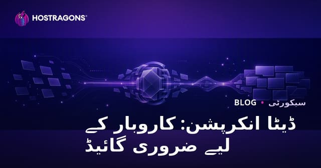 ڈیٹا انکرپشن: کاروبار کے لیے ضروری گائیڈ