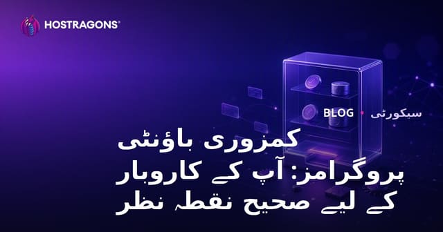 خطرات انعامات پروگرام: آپ کے کاروبار کے لیے درست نقطہ نظر