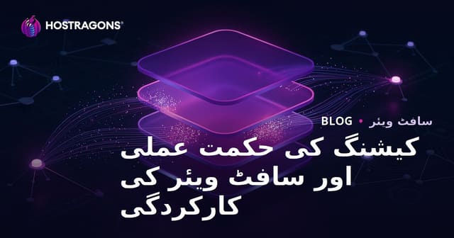 کیشنگ کی حکمت عملی اور سافٹ ویئر کی کارکردگی