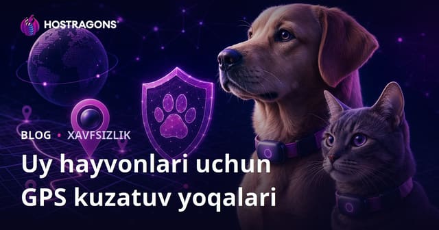 Faqat Uy Hayvonlari uchun GPS Kuzatuv Bo'yinbog’larini Tahlil qiluvchi Xavfsizlik Blogi