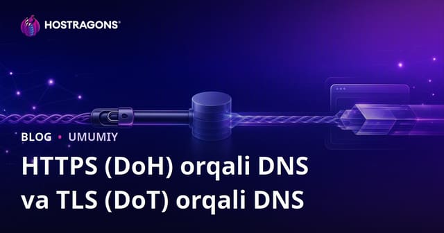 DNS bo'yicha HTTPS (DoH) va DNS bo'yicha TLS (DoT)