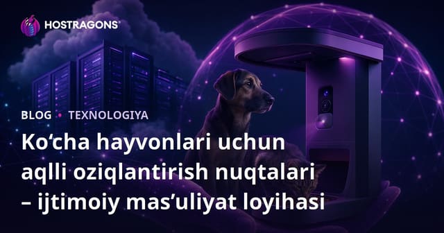 Ko‘cha hayvonlari uchun aqlli oziqlantirish nuqtalari – ijtimoiy mas’uliyat loyihasi