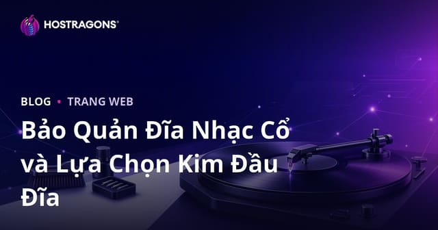 Bảo Quản Đĩa Nhạc Cổ và Lựa Chọn Kim Đầu Đĩa