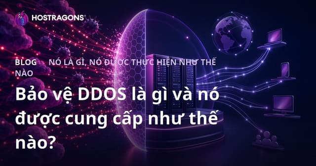 Bảo vệ DDOS là gì và nó được cung cấp như thế nào?
