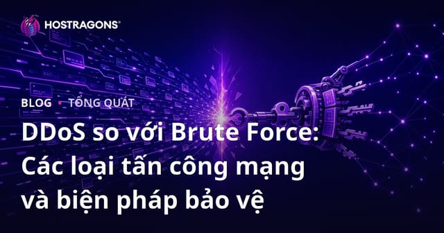 DDoS và Brute Force: Phân Tích Các Loại Tấn Công Siber và Phương Pháp Bảo Vệ