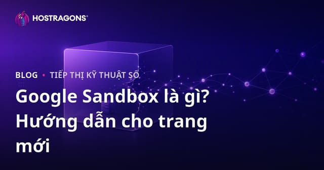 Google Sandbox là gì? Cách đưa website mới thoát khỏi "hộp cát" nhanh chóng