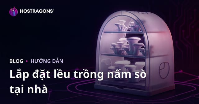 Hướng Dẫn Cài Đặt Nhà Kính Trồng Nấm Hải Sản Tại Nhà: Bước Đi Chi Tiết
