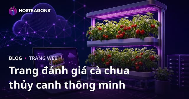 Hướng dẫn xây dựng trang web chỉ về trồng cà chua thủy canh thông minh tại nhà