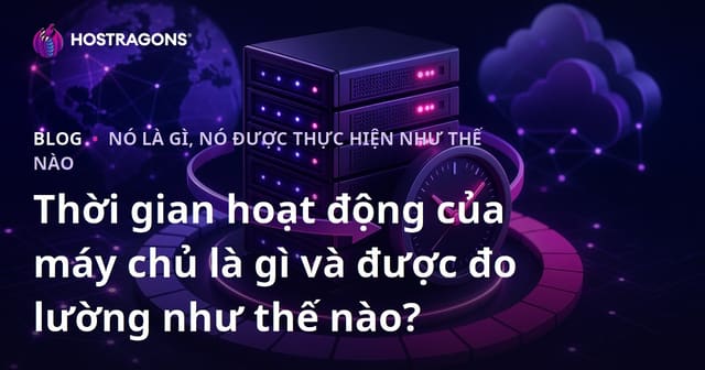 Thời gian hoạt động của máy chủ là gì và được đo lường như thế nào?