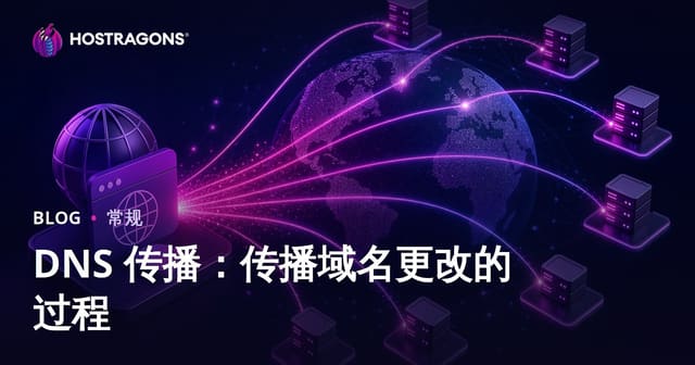 DNS 传播：传播域名更改的过程