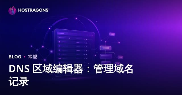DNS 区域编辑器：管理域名记录