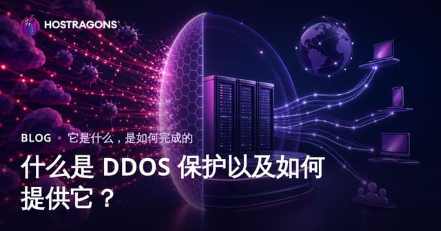 什么是 DDOS 保护以及如何提供它？