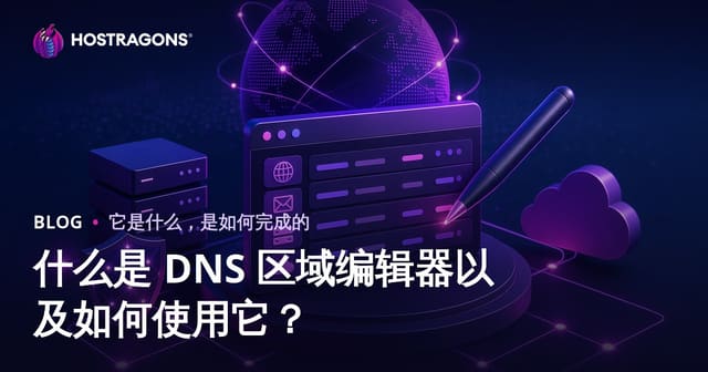 什么是 DNS 区域编辑器以及如何使用它？