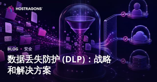 数据丢失防护 (DLP)：战略和解决方案
