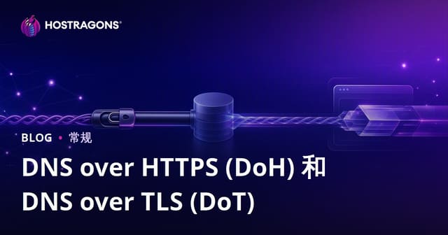 DNS加密：DNS over HTTPS (DoH)与DNS over TLS (DoT)全解析