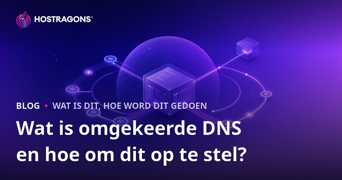 Wat is omgekeerde DNS en hoe om dit op te stel?