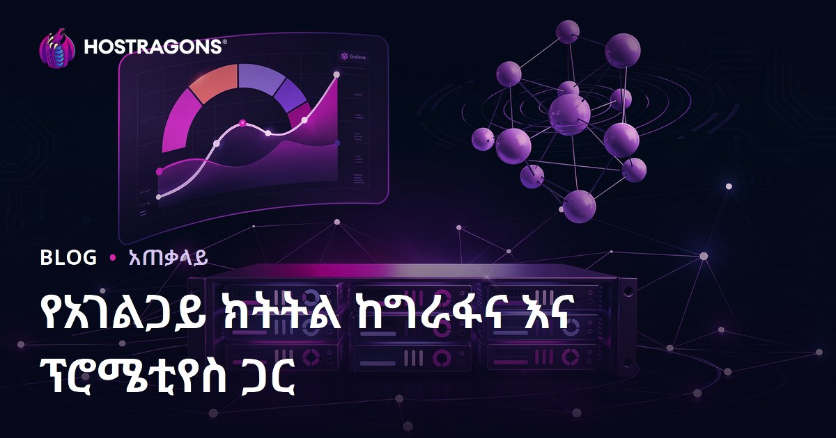 የአገልጋይ ክትትል ከግራፋና እና ፕሮሜቲየስ ጋር