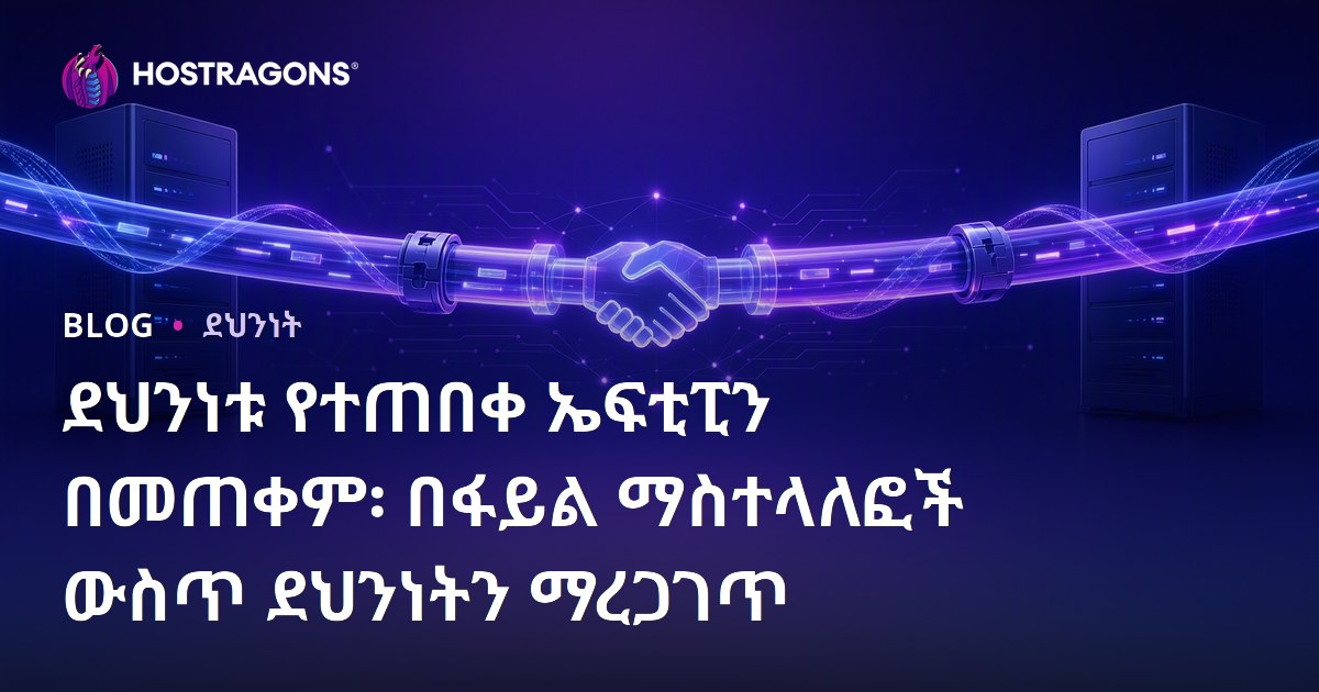 ደህንነቱ የተጠበቀ ኤፍቲፒን በመጠቀም፡ በፋይል ማስተላለፎች ውስጥ ደህንነትን ማረጋገጥ