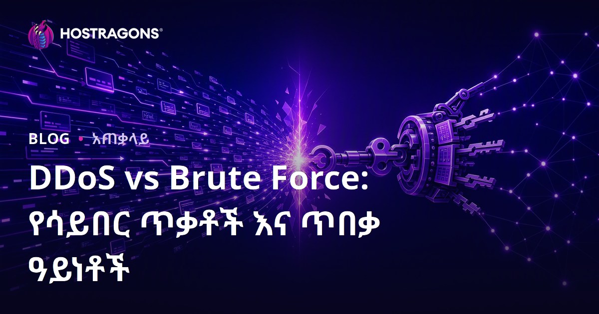 DDoS vs Brute Force: የሳይበር ጥቃቶች እና ጥበቃ ዓይነቶች