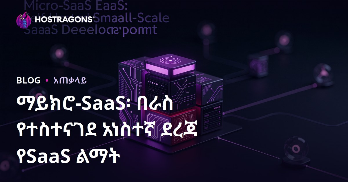 ማይክሮ-SaaS፡ በራስ የተስተናገደ አነስተኛ ደረጃ የSaaS ልማት