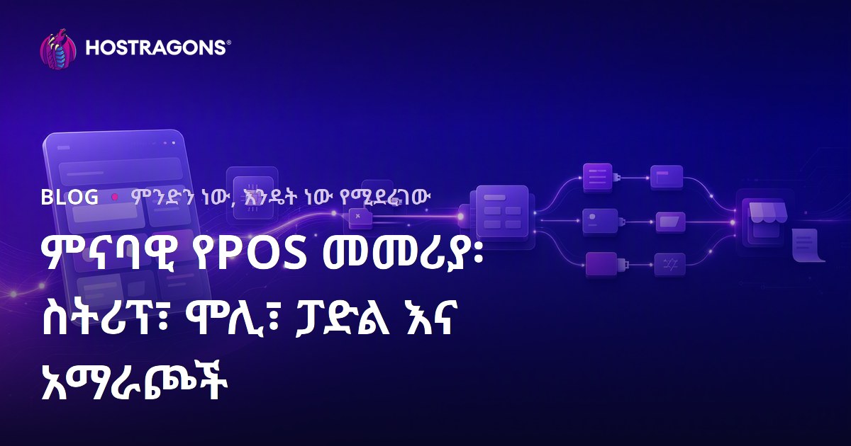 ምናባዊ የPOS መመሪያ፡ ስትሪፕ፣ ሞሊ፣ ፓድል እና አማራጮች
