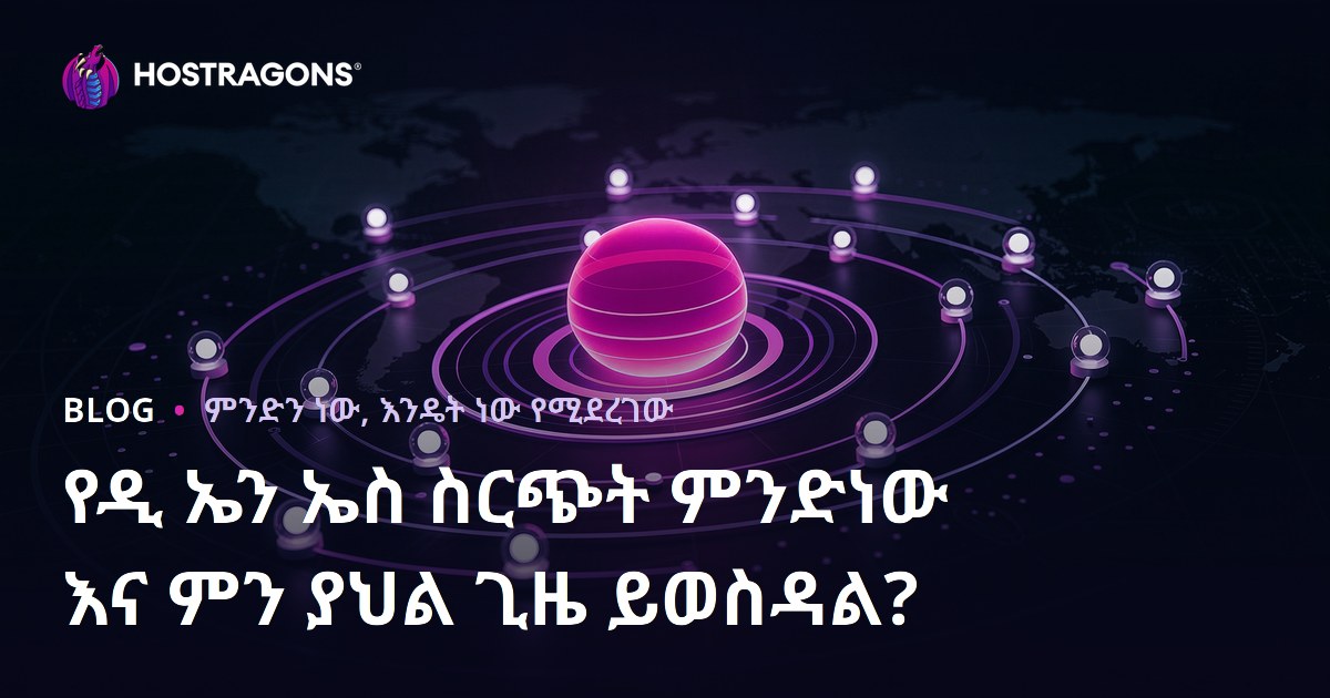 የዲ ኤን ኤስ ስርጭት ምንድነው እና ምን ያህል ጊዜ ይወስዳል?