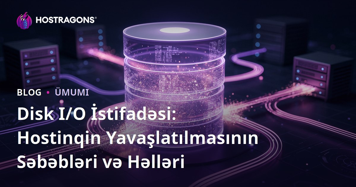 Disk I/O İstifadəsi: Hostinqin Yavaşlatılmasının Səbəbləri və Həlləri