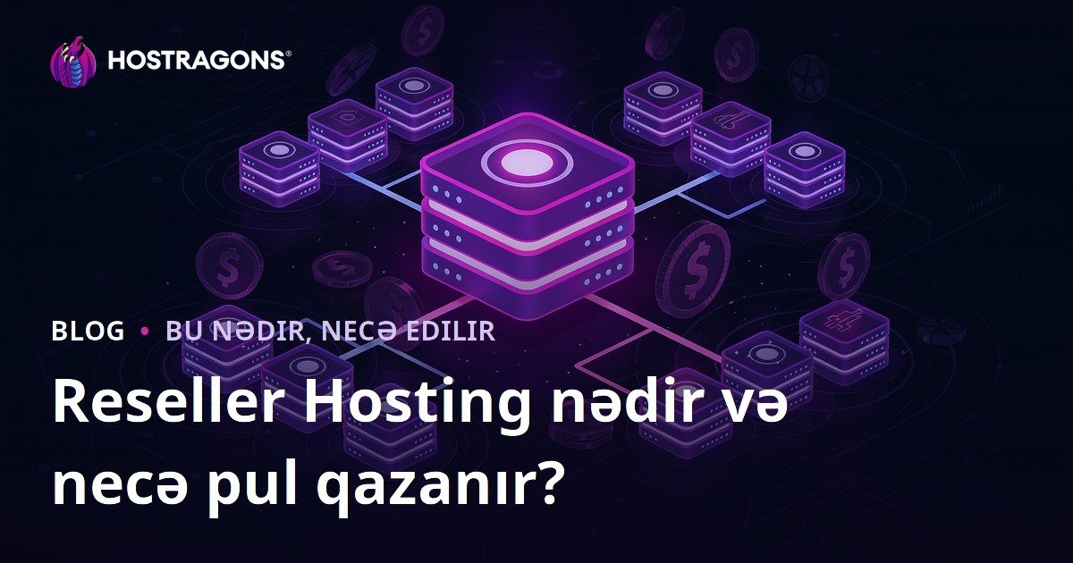 Reseller Hosting nədir və necə pul qazanır?