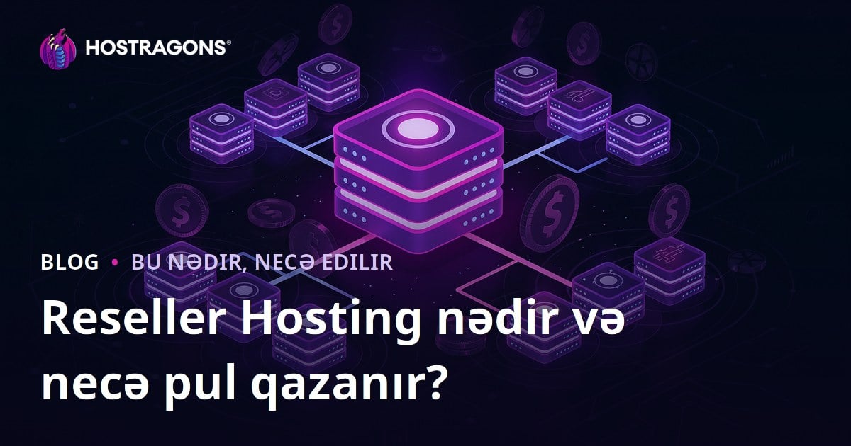 Reseller Hosting nədir və necə pul qazanır?