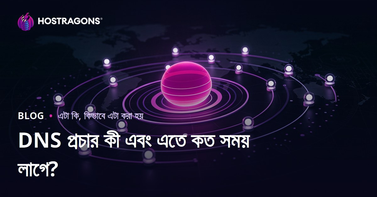 DNS প্রচার কী এবং এতে কত সময় লাগে?