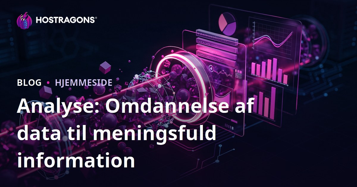 Analyse: Omdannelse af data til meningsfuld information