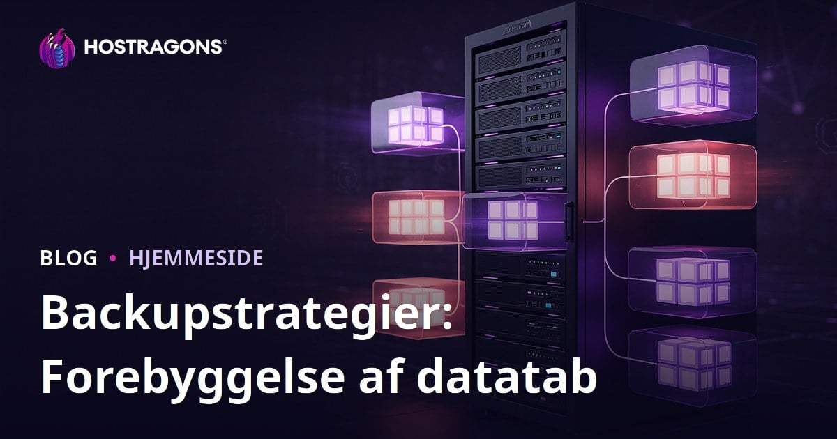 Backupstrategier: Forebyggelse af datatab
