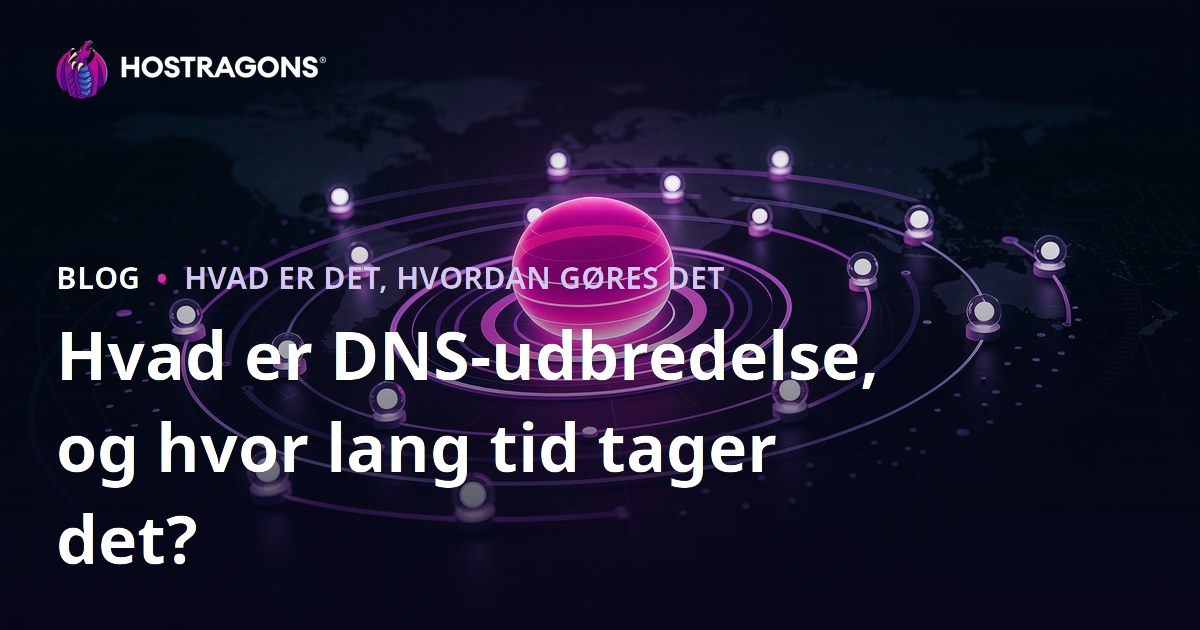 Hvad er DNS-udbredelse, og hvor lang tid tager det?