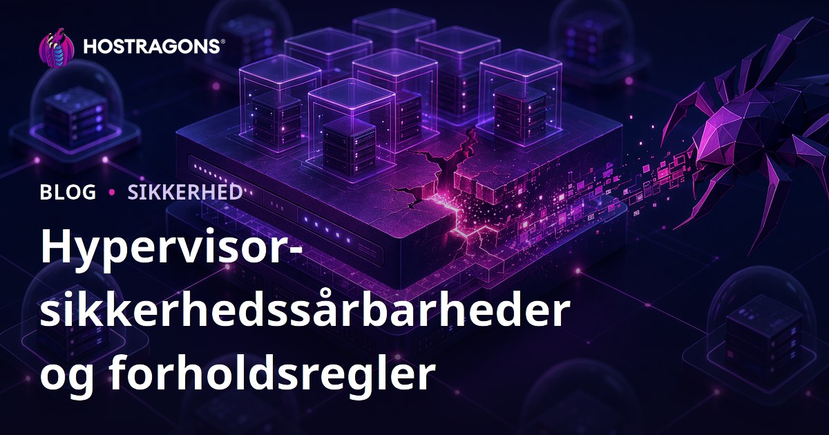Hypervisor-sikkerhedssårbarheder og forholdsregler
