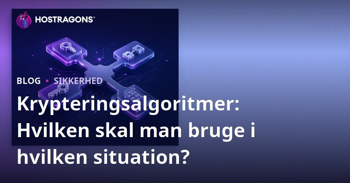 Krypteringsalgoritmer: Hvilken skal man bruge i hvilken situation?