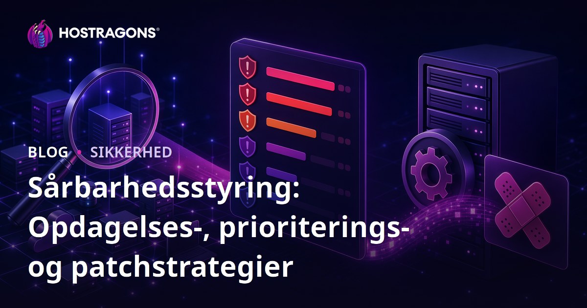 Sårbarhedsstyring: Opdagelses-, prioriterings- og patchstrategier