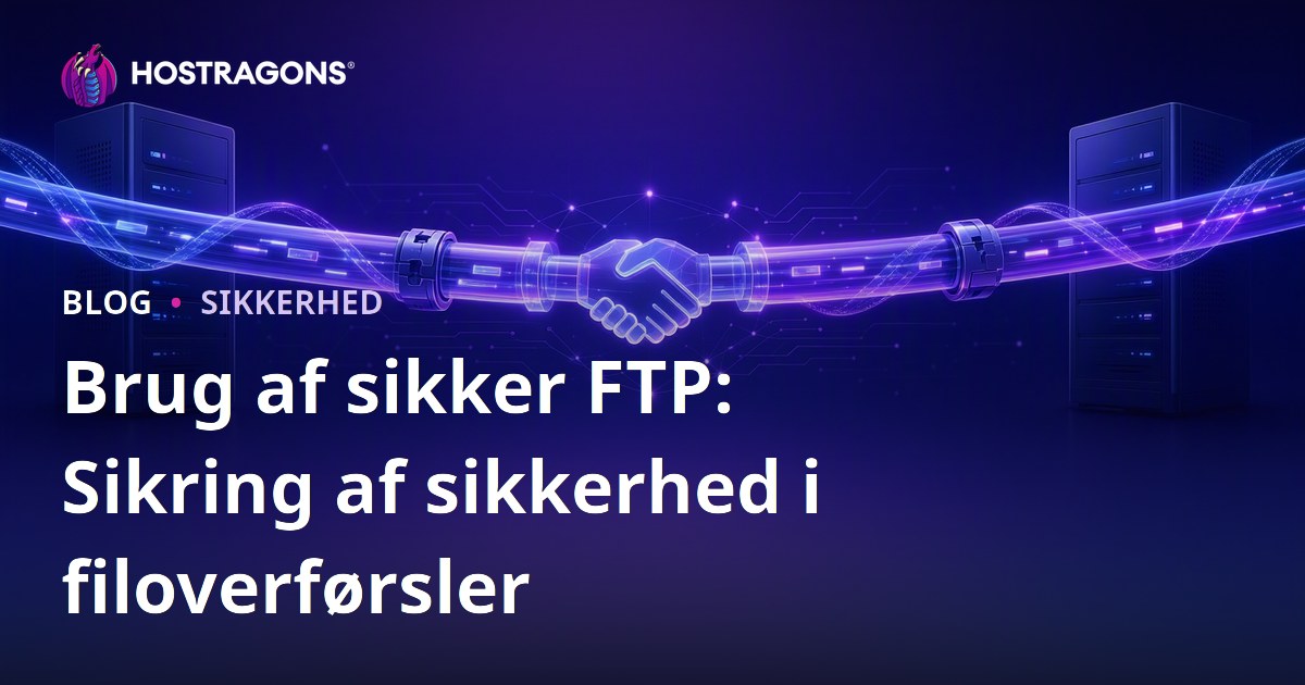 Brug af sikker FTP: Sikring af sikkerhed i filoverførsler