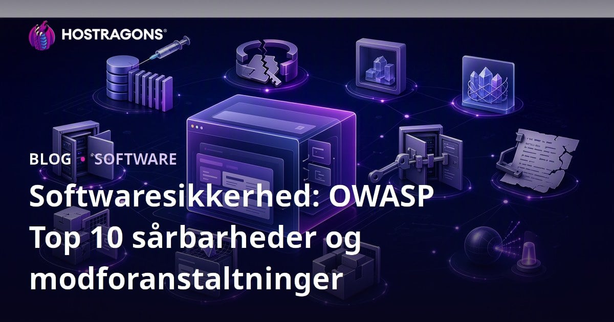 Softwaresikkerhed: OWASP Top 10 sårbarheder og modforanstaltninger